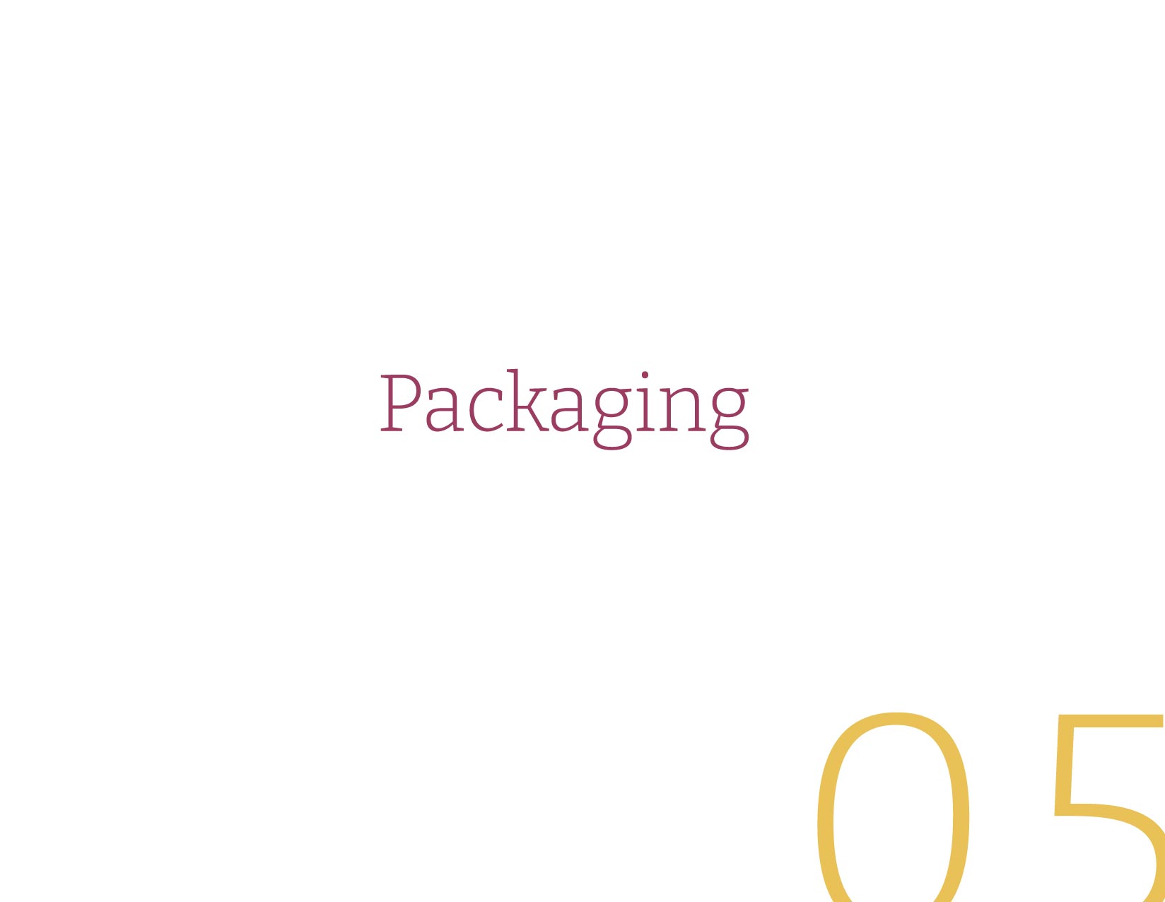 diseño gráfico y comunicación visual para empresas y emprendimientos en capital federal buenos aires argentina y freelance tipografia simple grid